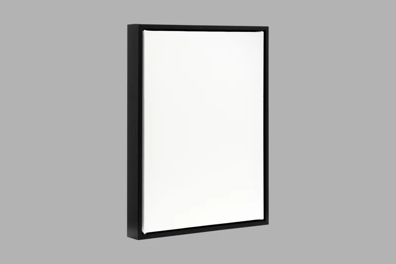 Canvas Framed Print - Custom Photo to Canvas with Black Frame